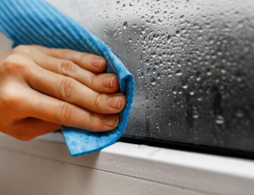 Preventing Common Cleaning Problems in High-Humidity Homes